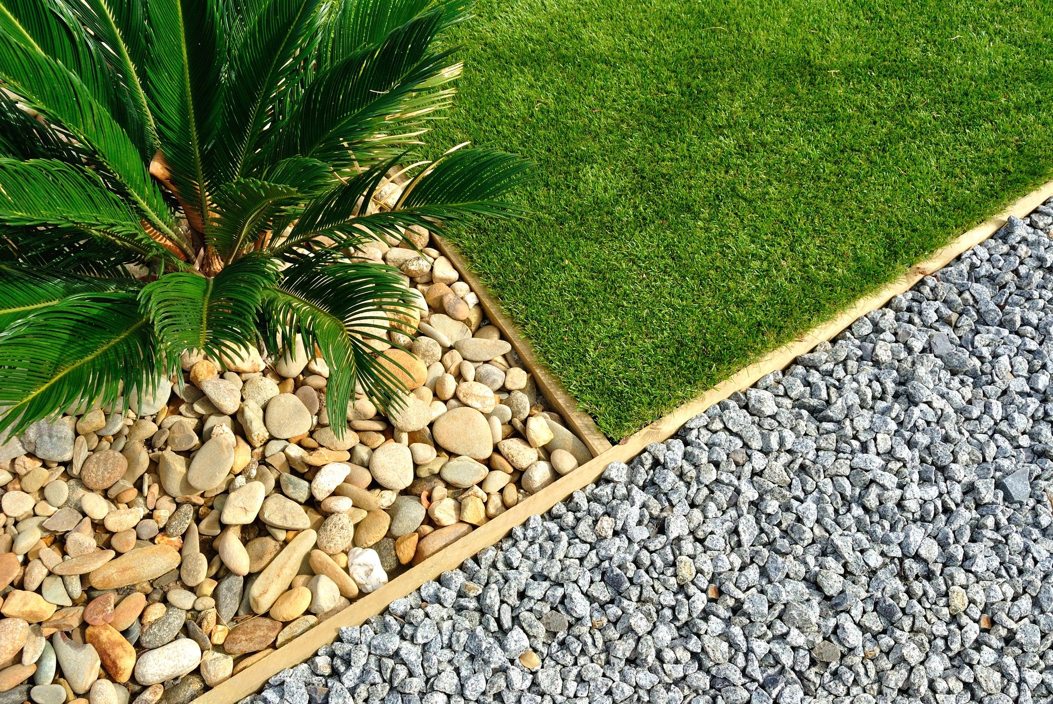 Landscaped garden bed with rock and plants